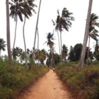 Tanzania School Journeys
